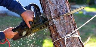 Best Aeration Services  in Cimarron Hills, CO