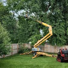  Cimarron Hills, CO Tree Services Pros
