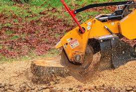 Lawn Maintenance Plans in Cimarron Hills, CO