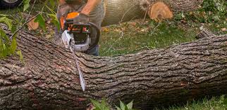 Best Artificial Turf Installation  in Cimarron Hills, CO