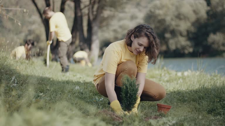 Best Lawn Drainage Solutions  in Cimarron Hills, CO