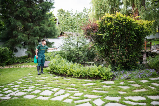 Best Tree Risk Assessment  in Cimarron Hills, CO