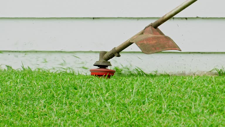 How Our Tree Care Process Works  in  Cimarron Hills, CO