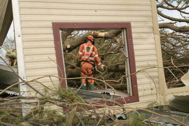 Best Tree Health Inspection  in Cimarron Hills, CO